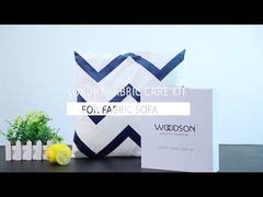 Sofa-Reinigungsausrüstung des Gewebes TZ-022